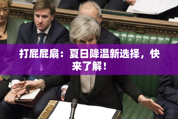 打屁屁扇：夏日降温新选择，快来了解！