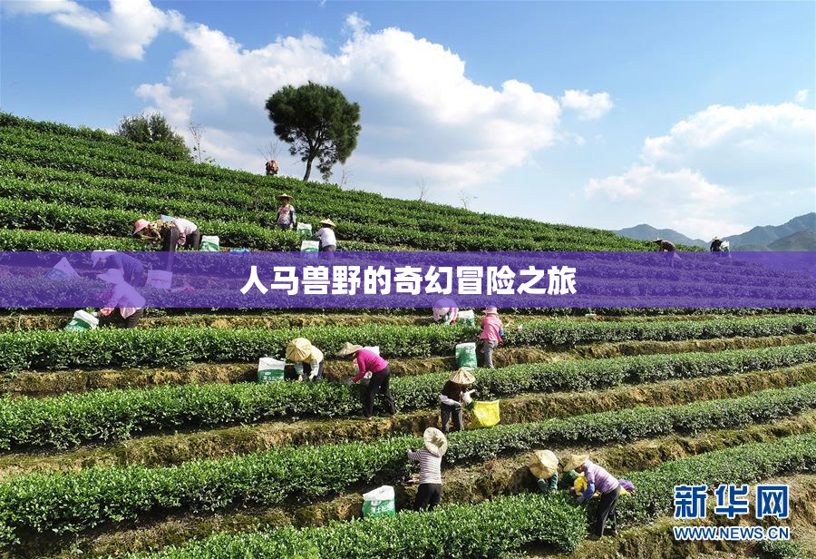 人马兽野的奇幻冒险之旅