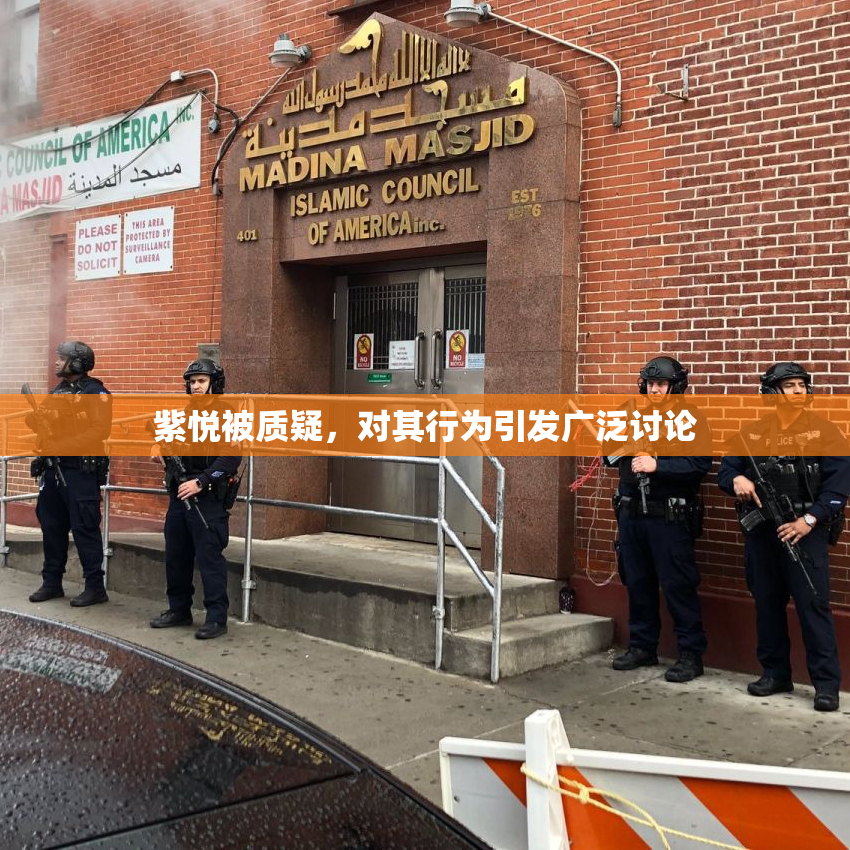 紫悦被质疑，对其行为引发广泛讨论