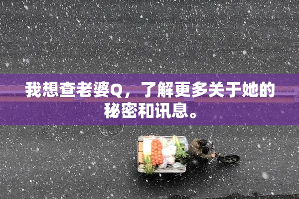 我想查老婆Q，了解更多关于她的秘密和讯息。