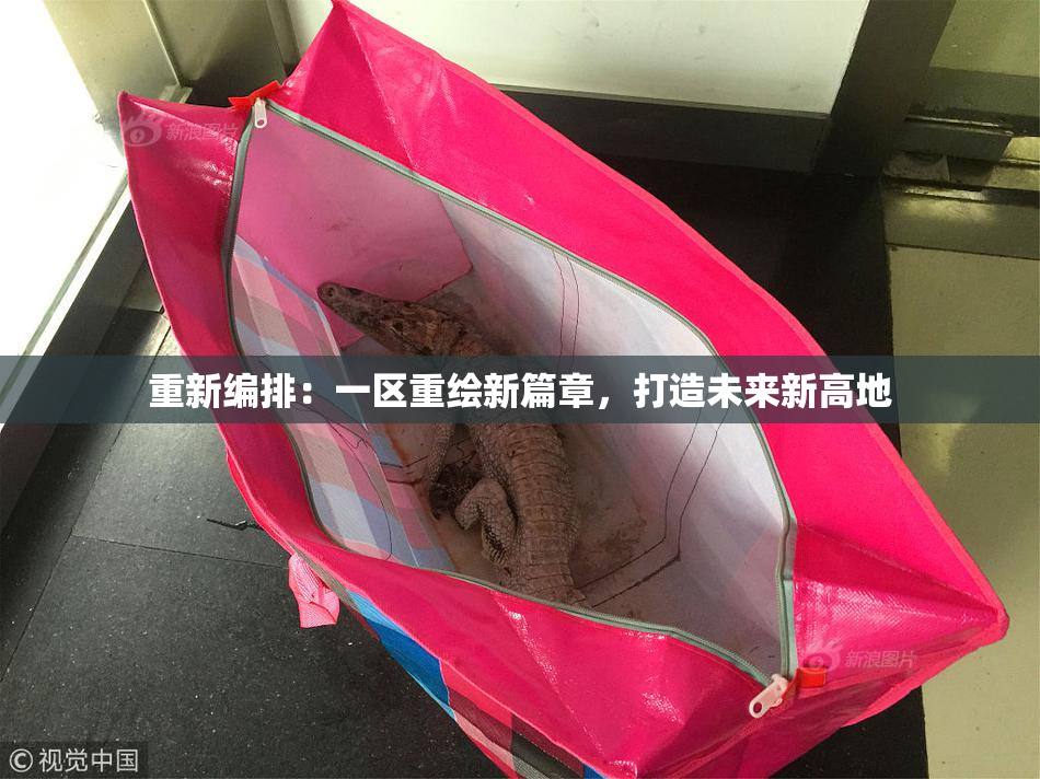 重新编排：一区重绘新篇章，打造未来新高地