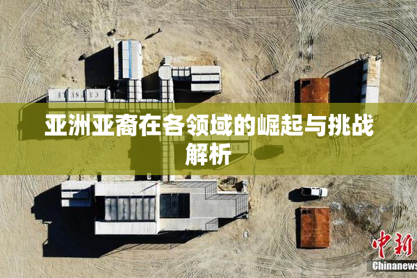 亚洲亚裔在各领域的崛起与挑战解析