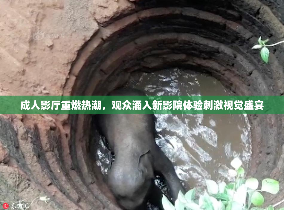 成人影厅重燃热潮，观众涌入新影院体验刺激视觉盛宴
