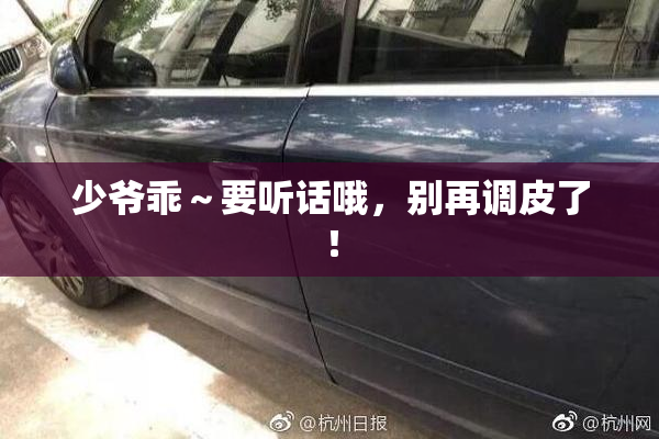 少爷乖～要听话哦，别再调皮了！