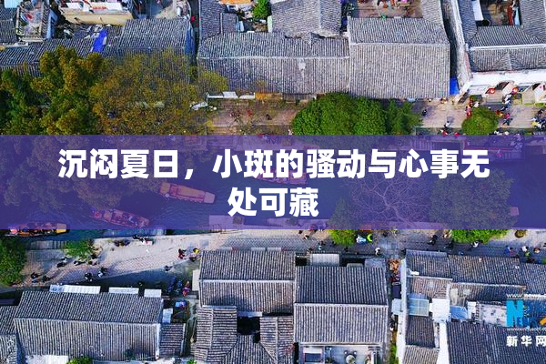 沉闷夏日，小斑的骚动与心事无处可藏