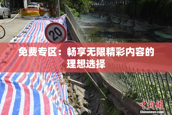 免费专区：畅享无限精彩内容的理想选择
