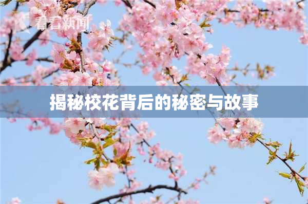 揭秘校花背后的秘密与故事