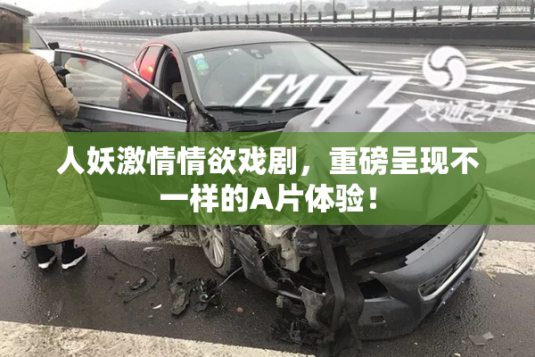人妖激情情欲戏剧，重磅呈现不一样的A片体验！