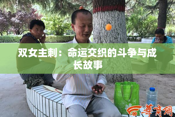 双女主刺：命运交织的斗争与成长故事