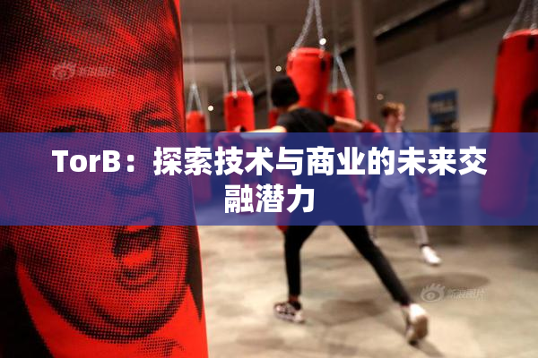 TorB：探索技术与商业的未来交融潜力