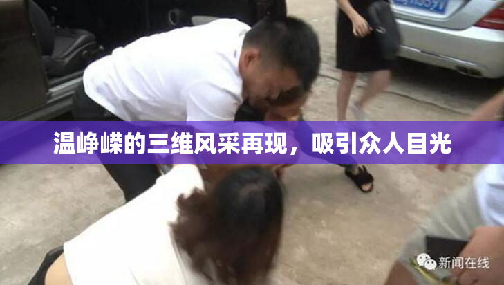 温峥嵘的三维风采再现，吸引众人目光