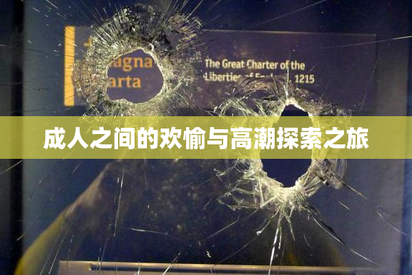 成人之间的欢愉与高潮探索之旅