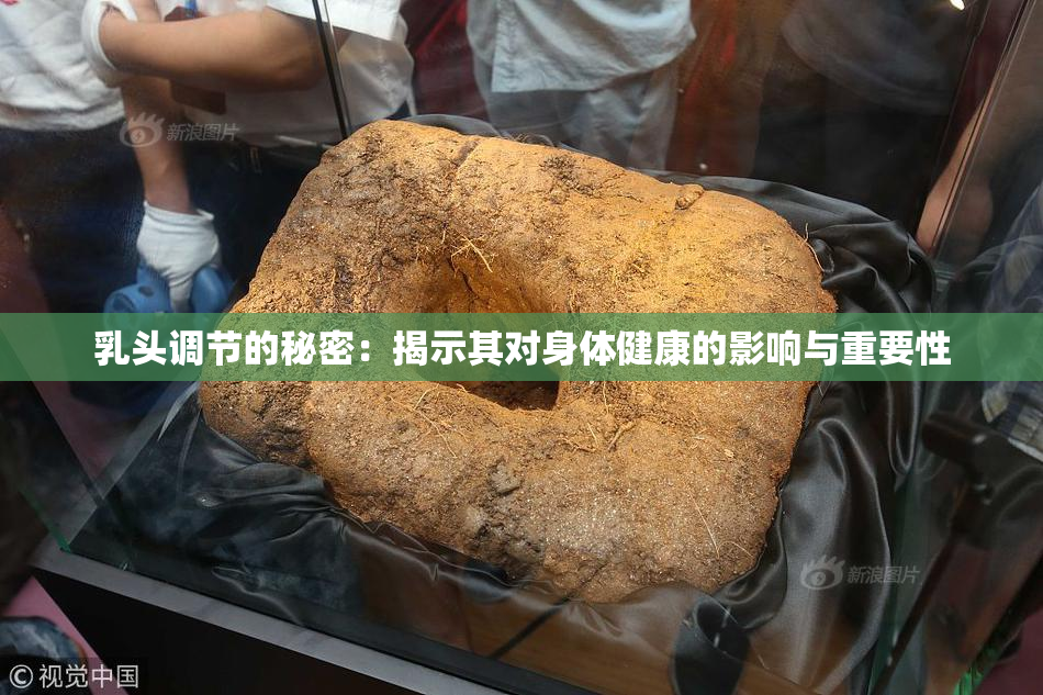 乳头调节的秘密：揭示其对身体健康的影响与重要性