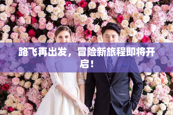路飞再出发，冒险新旅程即将开启！