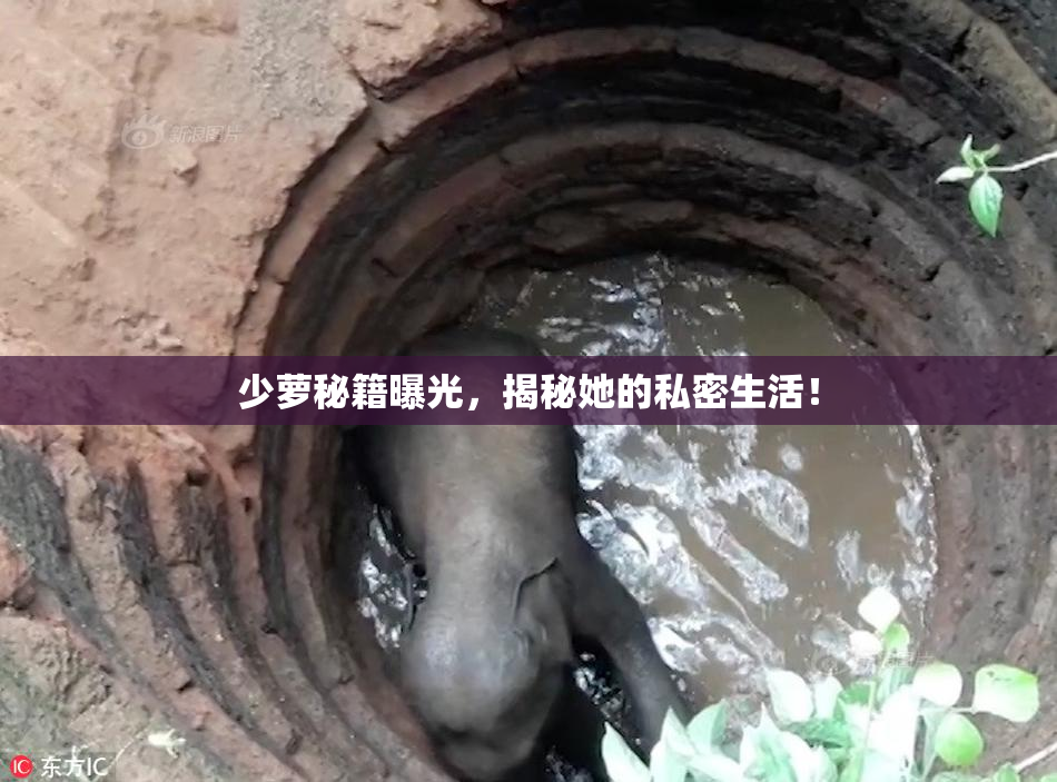 少萝秘籍曝光，揭秘她的私密生活！