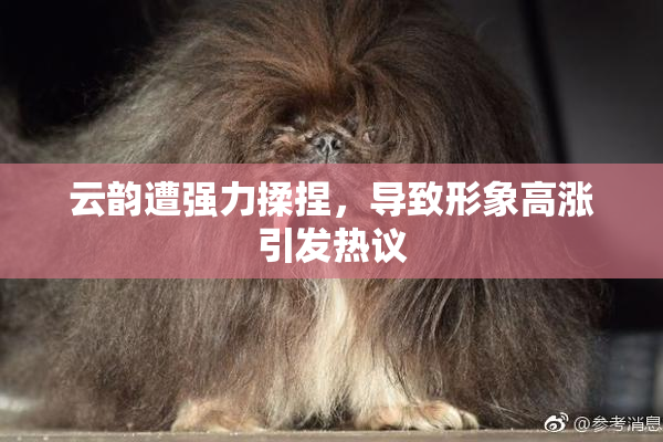 云韵遭强力揉捏，导致形象高涨引发热议