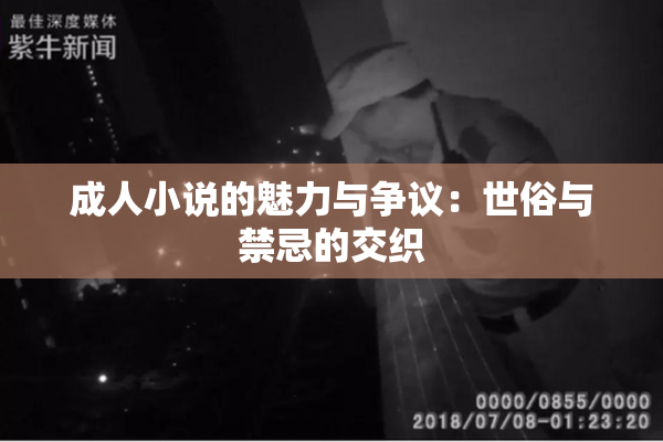 成人小说的魅力与争议：世俗与禁忌的交织