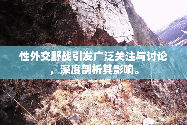 性外交野战引发广泛关注与讨论，深度剖析其影响。