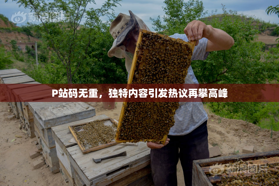 P站码无重，独特内容引发热议再攀高峰