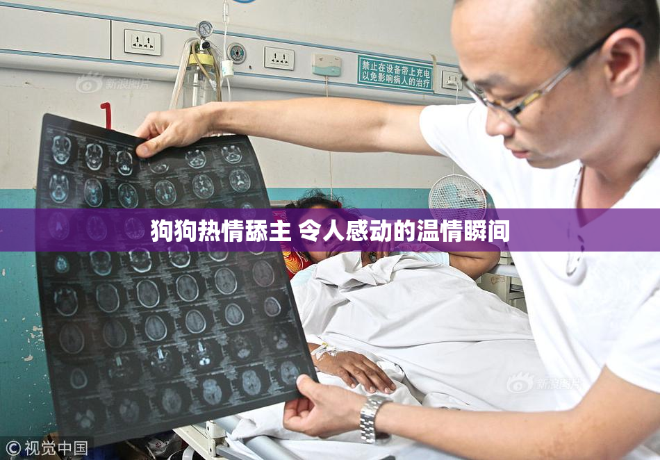 狗狗热情舔主 令人感动的温情瞬间