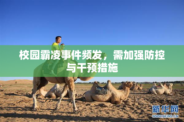 校园霸凌事件频发，需加强防控与干预措施