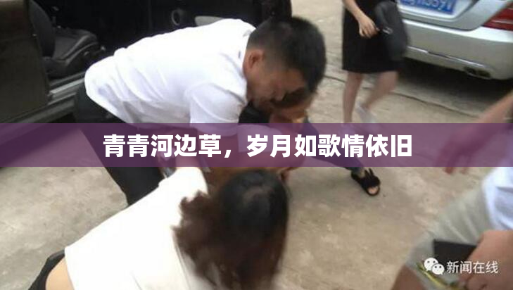 青青河边草，岁月如歌情依旧