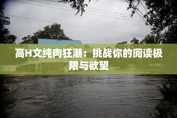 高H文纯肉狂潮：挑战你的阅读极限与欲望