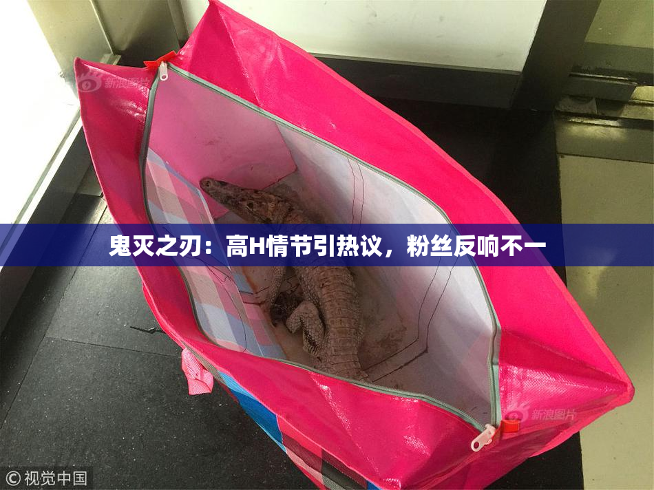 鬼灭之刃：高H情节引热议，粉丝反响不一