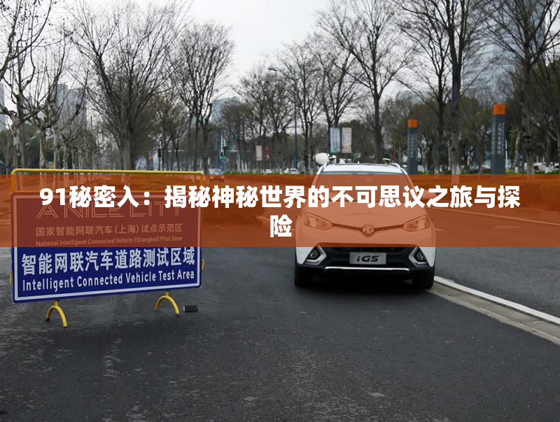 91秘密入：揭秘神秘世界的不可思议之旅与探险