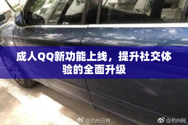 成人QQ新功能上线，提升社交体验的全面升级