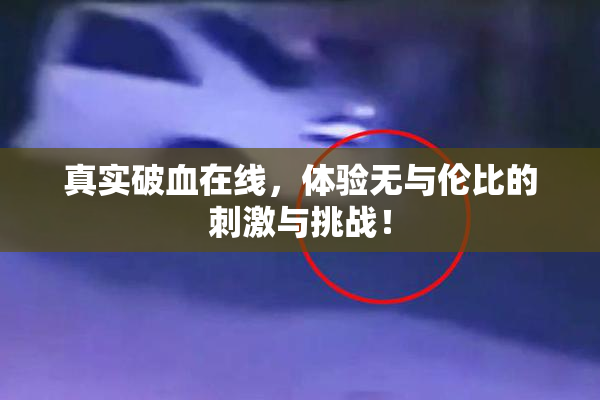 真实破血在线，体验无与伦比的刺激与挑战！