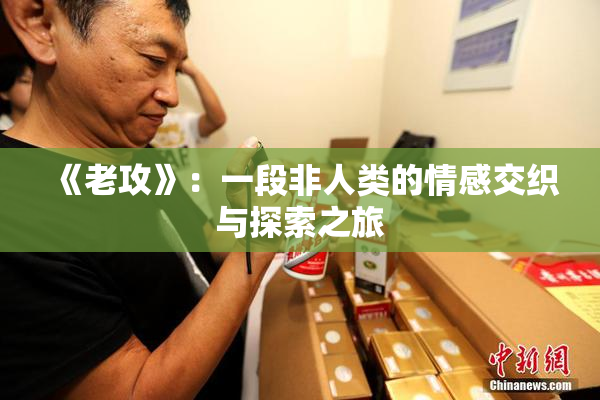 《老攻》：一段非人类的情感交织与探索之旅
