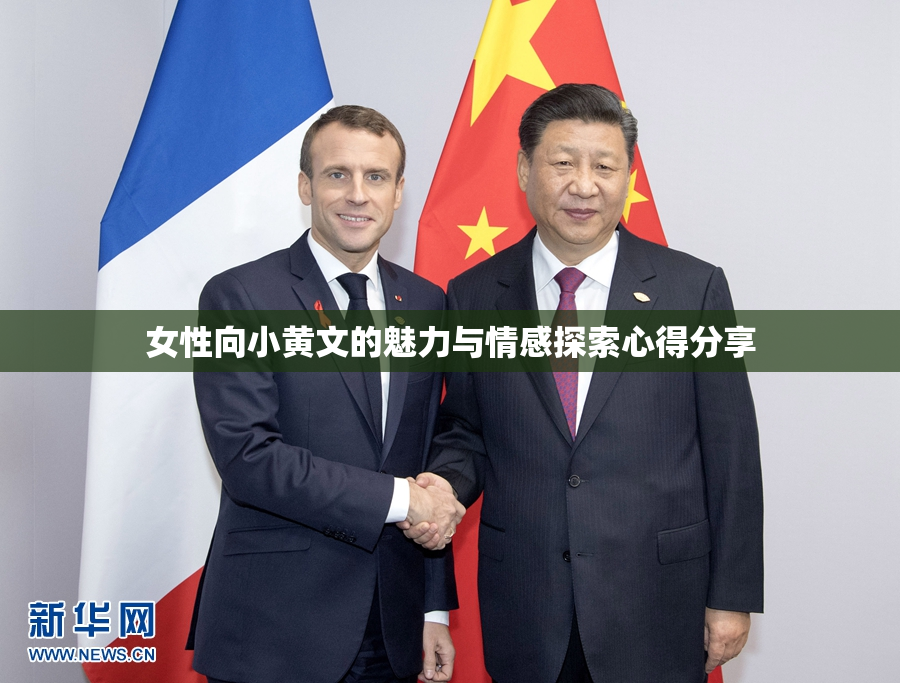 女性向小黄文的魅力与情感探索心得分享