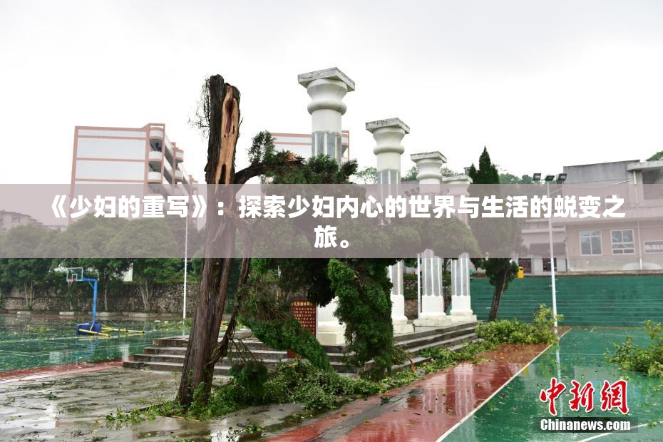 《少妇的重写》：探索少妇内心的世界与生活的蜕变之旅。