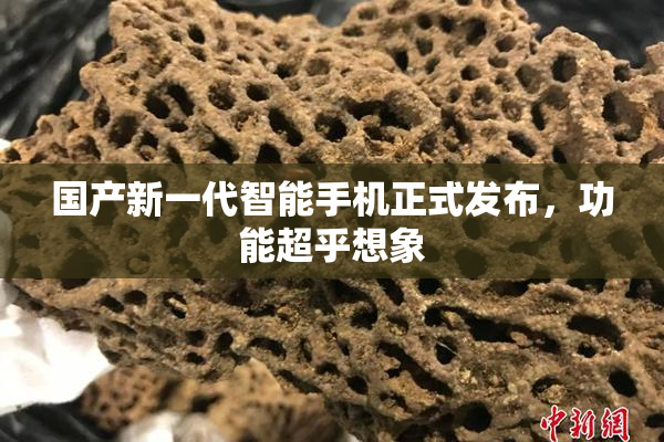 国产新一代智能手机正式发布，功能超乎想象
