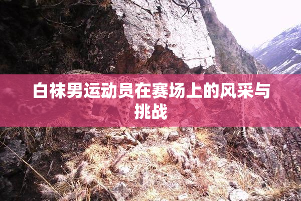 白袜男运动员在赛场上的风采与挑战