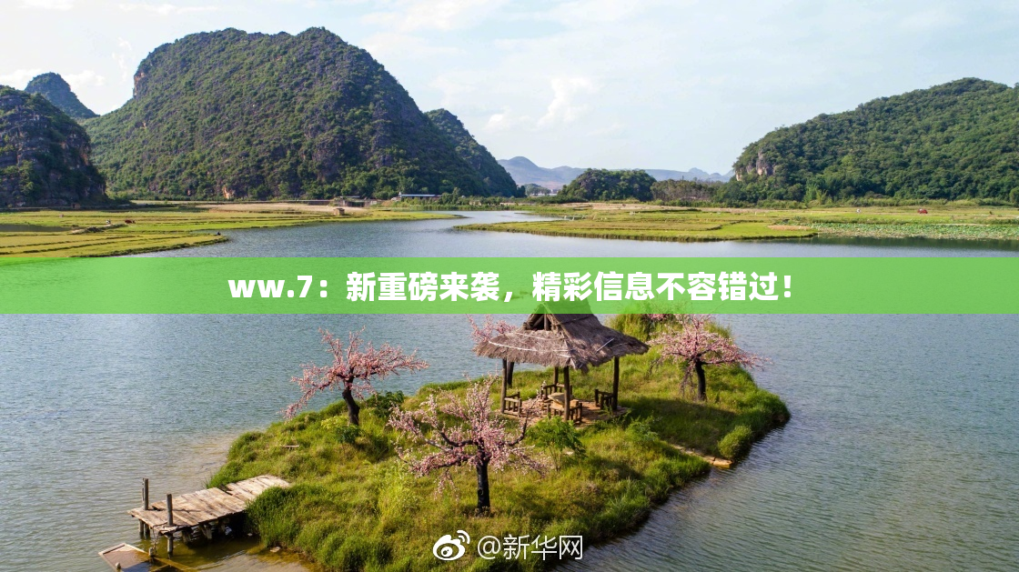 ww.7：新重磅来袭，精彩信息不容错过！