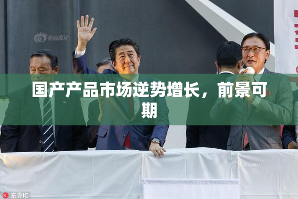 国产产品市场逆势增长，前景可期