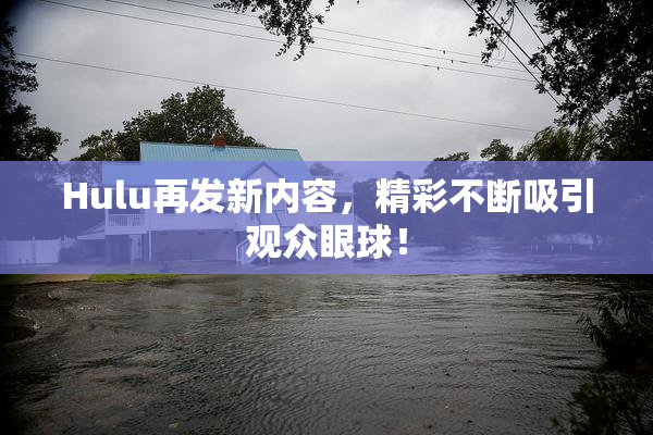 Hulu再发新内容，精彩不断吸引观众眼球！
