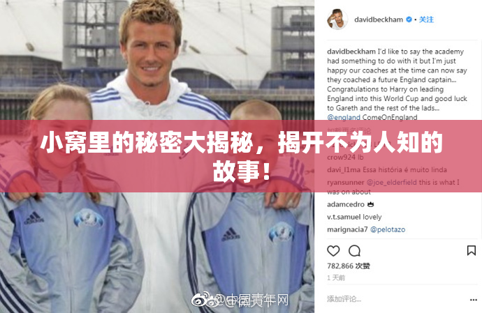 小窝里的秘密大揭秘，揭开不为人知的故事！