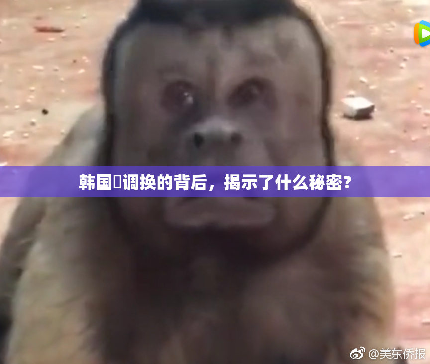 韩国巜调换的背后，揭示了什么秘密？