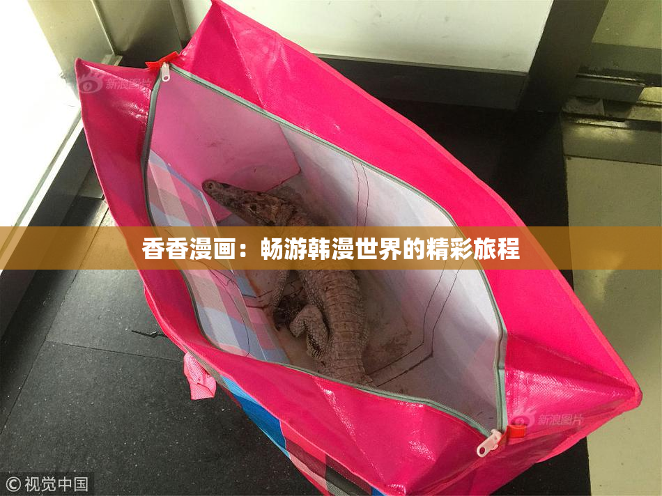香香漫画：畅游韩漫世界的精彩旅程