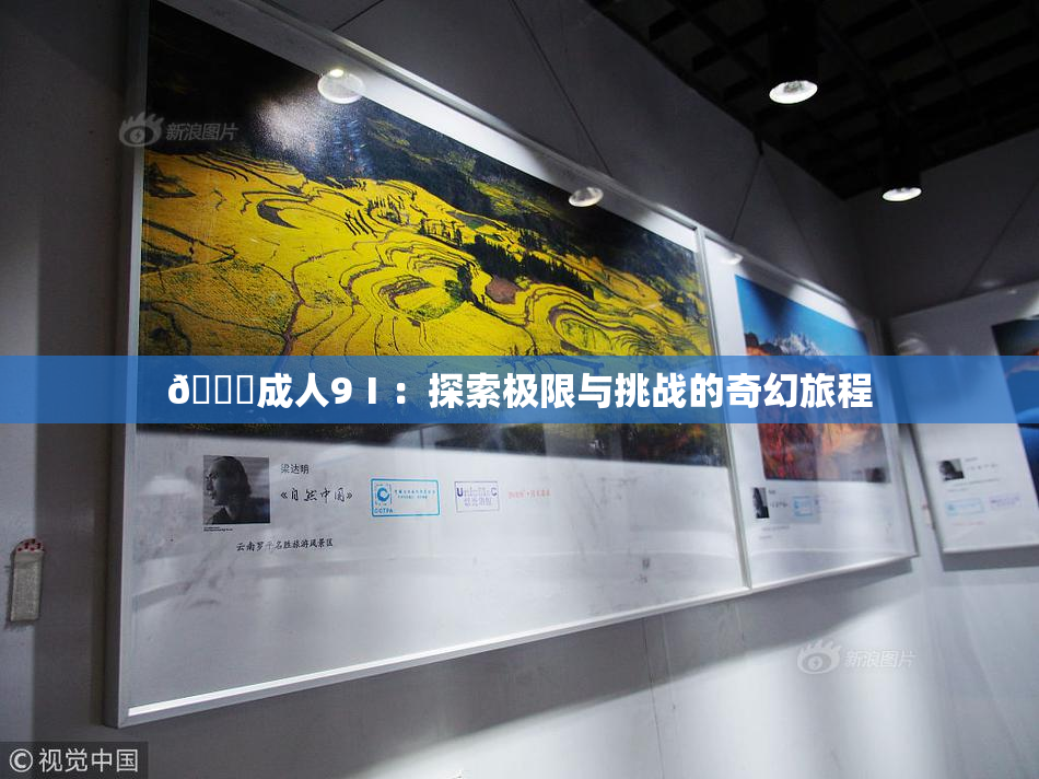 🔞成人9Ⅰ：探索极限与挑战的奇幻旅程