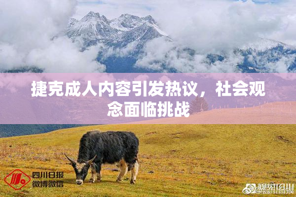捷克成人内容引发热议，社会观念面临挑战