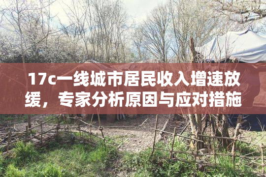 17c一线城市居民收入增速放缓，专家分析原因与应对措施
