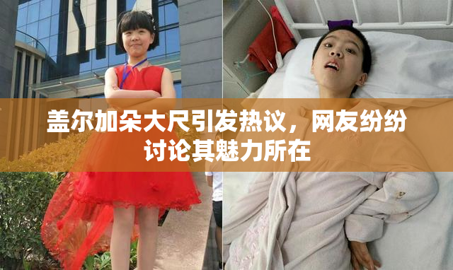 盖尔加朵大尺引发热议，网友纷纷讨论其魅力所在