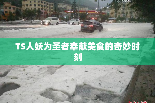 TS人妖为圣者奉献美食的奇妙时刻