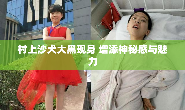 村上沙犬大黑现身 增添神秘感与魅力