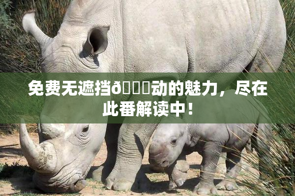 免费无遮挡🔞动的魅力，尽在此番解读中！