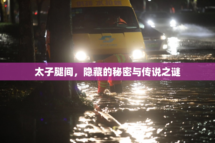 太子腿间，隐藏的秘密与传说之谜